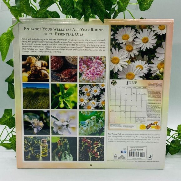 Llewellyn's 2022 Essential Oils Calendar - Picture 4 of 5